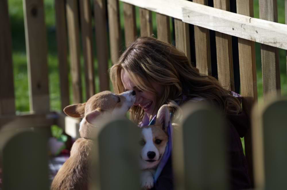 Reckless-Pictures-movie-A-Royal-Corgi-Christmas